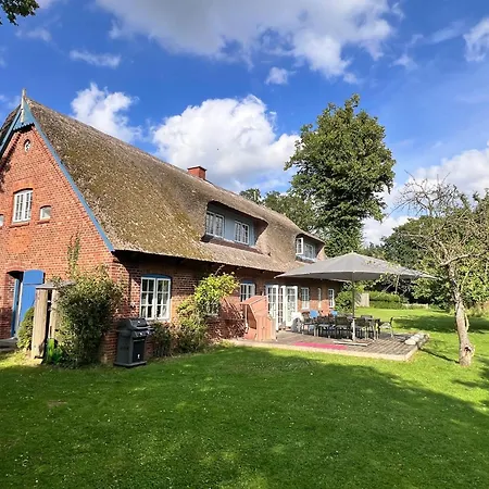 Reetdachkate Oelboehm Holiday home